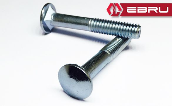 Carriage bolt